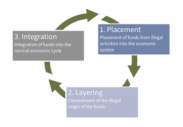 The_three-phase_model